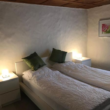 Guesthouse Les Mignardises Laufen-Uhwiesen Eksteriør billede