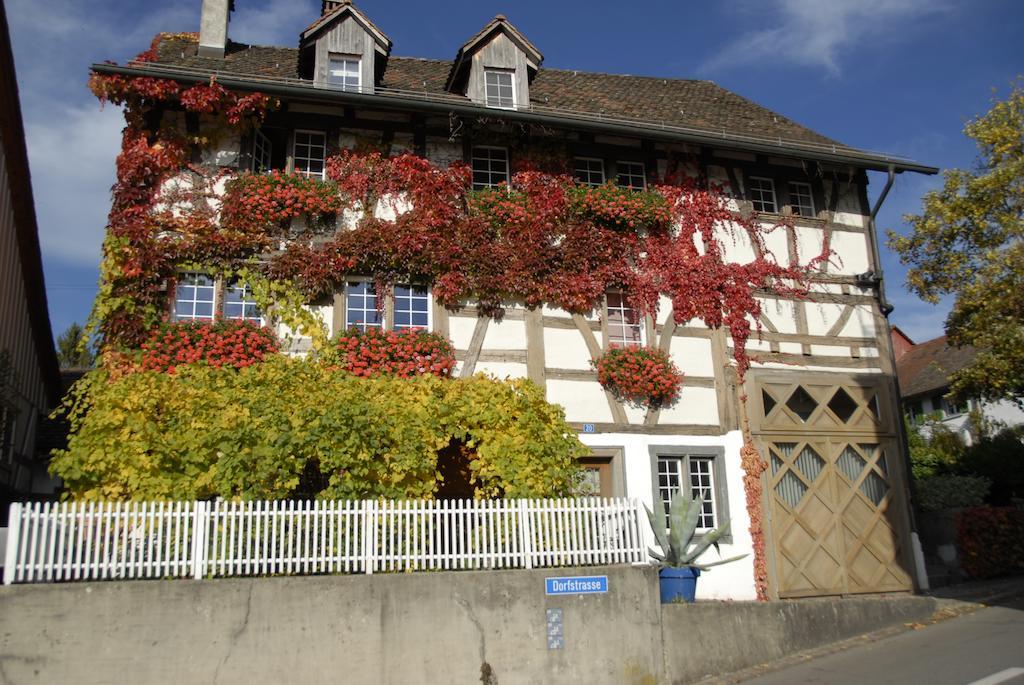 Guesthouse Les Mignardises Laufen-Uhwiesen Eksteriør billede